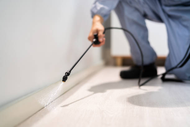Licensed Pest Control service in Presque Isle, ME - Show Me Pest Control