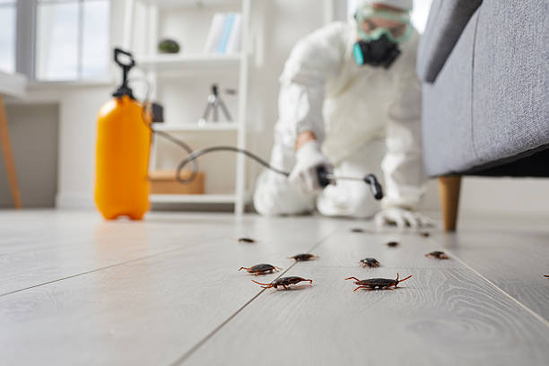 Commercial Kitchen Cockroach Control in Presque Isle